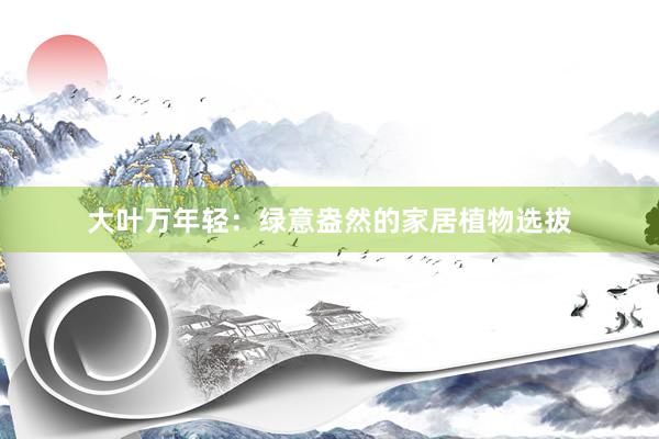 大叶万年轻：绿意盎然的家居植物选拔